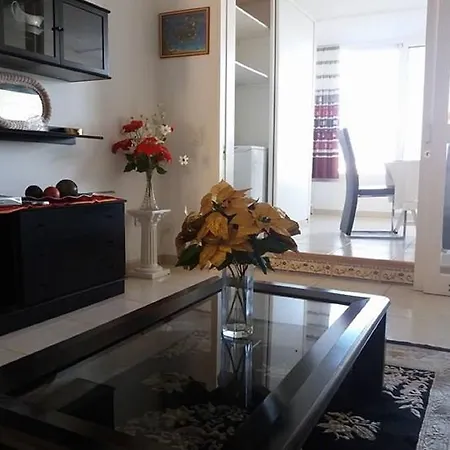 Jacaranda Flat Las Americas