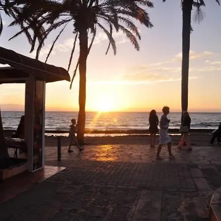 Jacaranda Flat Las Americas 美洲海滩